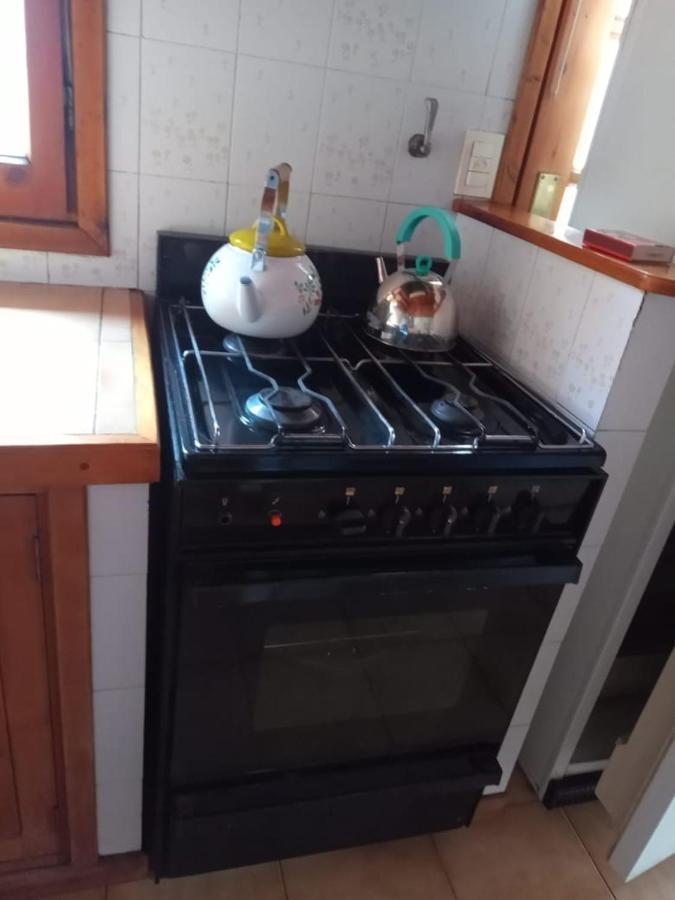 恩埃尔森特罗度假屋 San Martín de los Andes 外观 照片